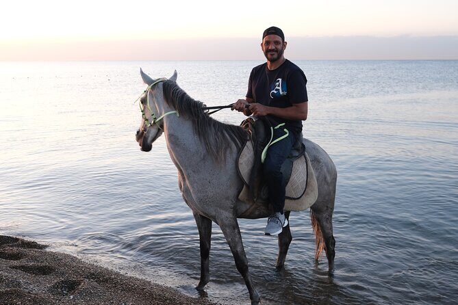 Horse back Riding in Antalya - The Ride Itself: Beach Views, Then Forest Trails