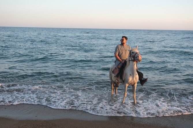 Horse back Riding in Antalya - Value for Money: Is It Worth $60.47?