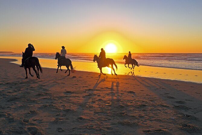 Horse Riding in Antalya,Belek,Lara Beach(Sunrise,Sunset,Day Time) - The forest route: pine air, shaded pace, and a calmer ride