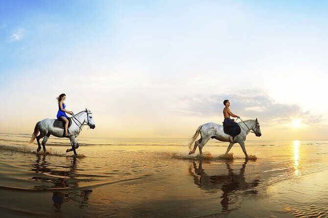 Horse Riding in Antalya,Belek,Lara Beach(Sunrise,Sunset,Day Time) - Pickup and timing in Antalya: where the day can win or stumble