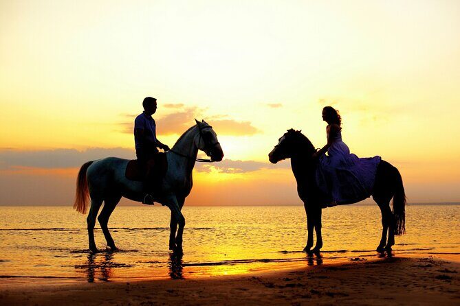 Horse Riding in Antalya,Belek,Lara Beach(Sunrise,Sunset,Day Time) - Photos, drinks, and the real cost beyond the $41.54