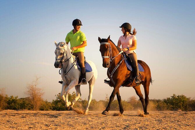 Horse Riding in Antalya,Belek,Lara Beach(Sunrise,Sunset,Day Time) - What you actually do during the 2-hour outing