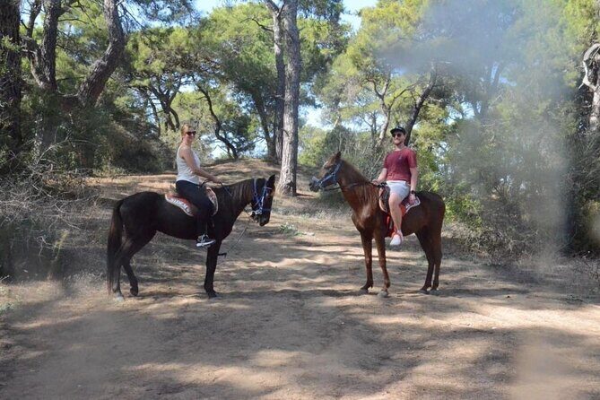 Horse Riding in Manavgat Side Forest and Beach - The 90-Minute Rhythm: Pickup, Briefing, and Your One-Hour Ride