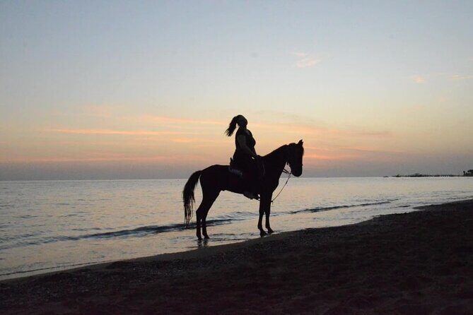 Horse Riding in Manavgat Side Forest and Beach - The Scenic Drive Around Side, Manavgat, and Beyond (What the Stops Mean)