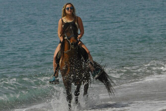 Horse Riding in Manavgat Side Forest and Beach - Horses, Guides, and Safety Reality Checks (Read This Before You Ride)