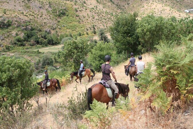 Kemer Horse Safari Experience With Free Hotel Transfer - Horse Safari in Kemer: a simple plan that feels complete