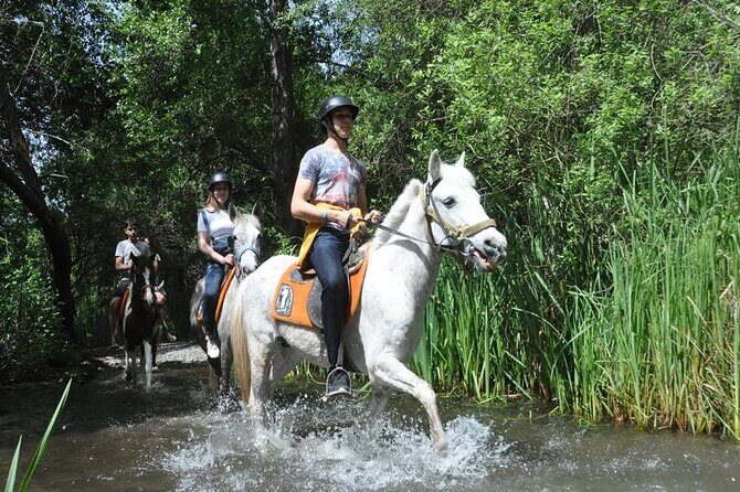 Kemer Horse Safari Experience With Free Hotel Transfer - The one-hour riding portion: calm horses, guided pace, and real coaching