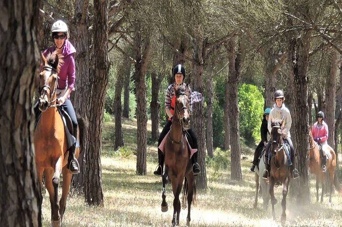 Kemer Horse Safari Experience With Free Hotel Transfer - Value check: is $60 a fair deal for 3 hours?