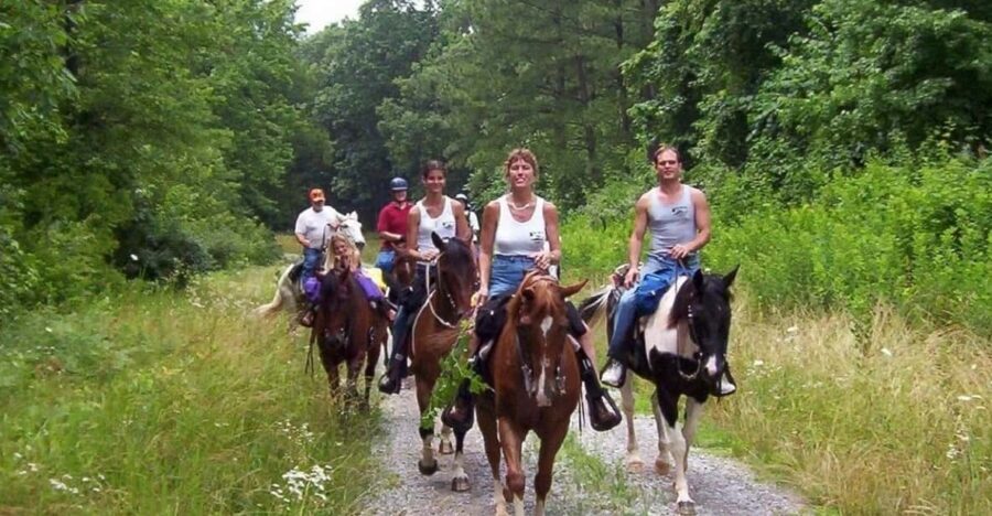 Kemer Horse Safari, pick up from Kiris, Beldibi, Goynuk - FAQ