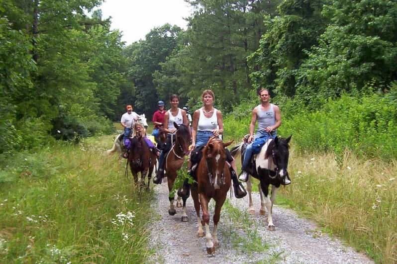 Kemer Horse Safari, pick up from Kiris, Beldibi, Goynuk - Why Kemer Forest Makes This Horse Safari Worth Your Time