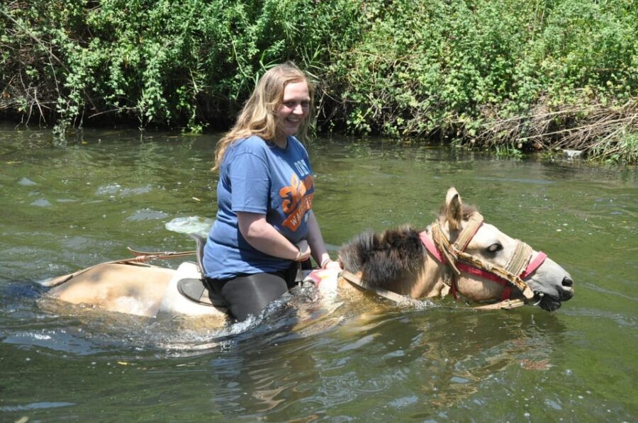 Kemer Horse Safari, pick up from Kiris, Beldibi, Goynuk - Two Hours Total: The Riding Lesson and the 1-Hour Outing
