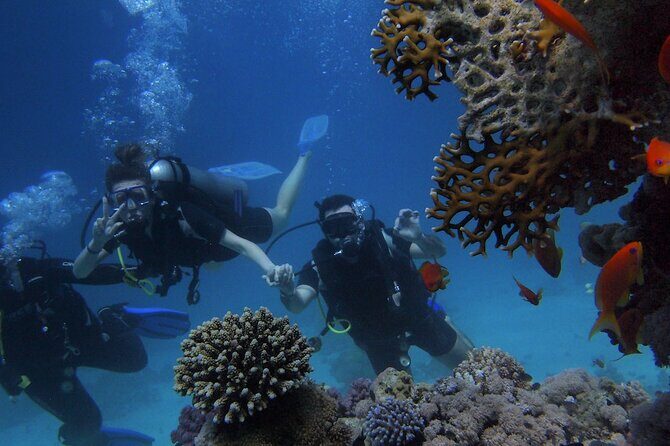Kemer Scuba Diving Experience: Two Dives with Lunch - Lunch in the middle: fuel for session #2