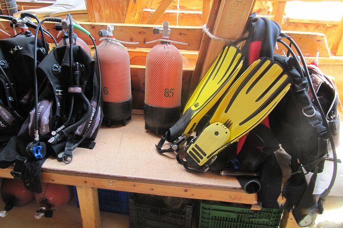 Kemer Scuba Diving Tour Incl. Lunch with Opt. Hotel Transfer - What you’ll likely see underwater (and why “colorful” isn’t the same everywhere)