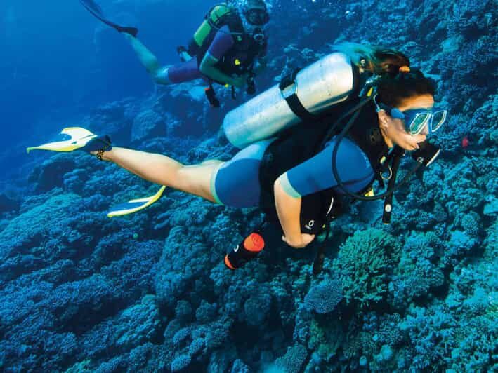 Kemer Scuba Diving with Expert Diving Option - Two underwater spots, one well-run day in Kemer