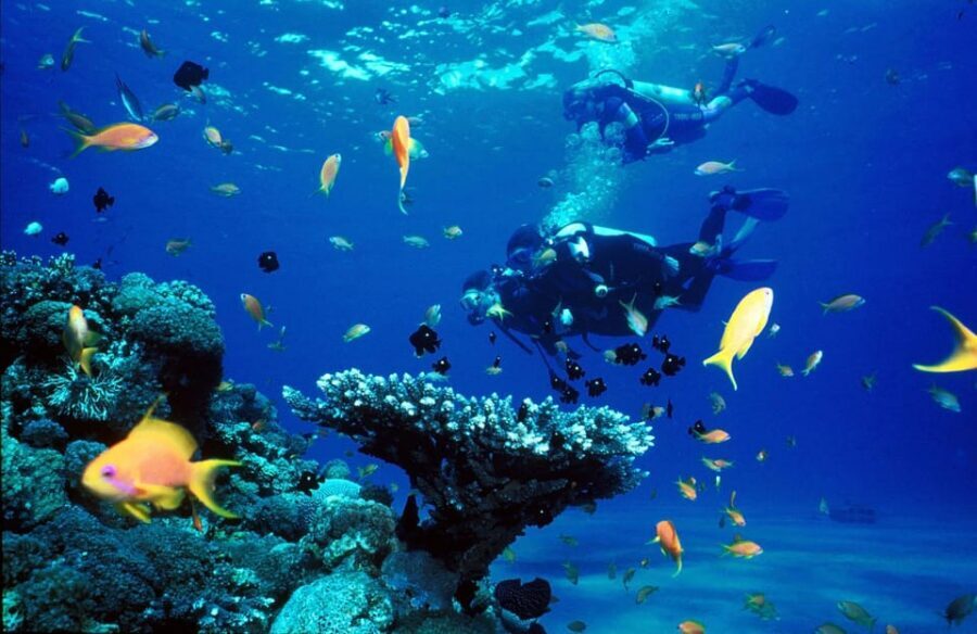 Kemer Scuba Diving with Expert Diving Option - Your first underwater session: training first, then 10–15 minutes in the sea