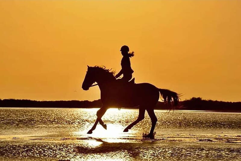 Manavgat Side: Horse Riding on the Beach and in the Forest - Pine forests and a river pause: the calm that makes the photos look better