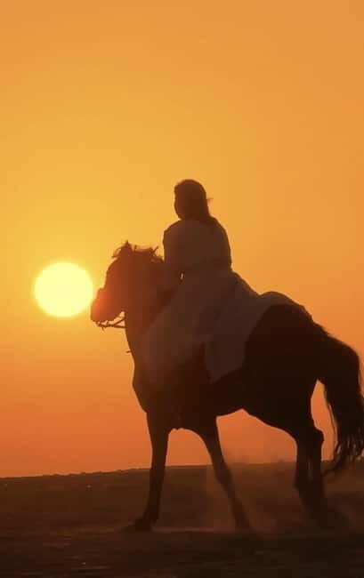 Manavgat Side: Horse Riding on the Beach and in the Forest - Guides and horses: what “well trained” feels like in real life