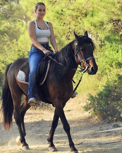Manavgat Side: Horse Riding on the Beach and in the Forest - Booking quick-check: morning vs afternoon and your best-fit plan