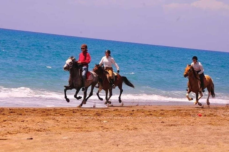 Manavgat Side: Horse Riding on the Beach and in the Forest - The 1-hour ride: what you’ll do once your horse is waiting