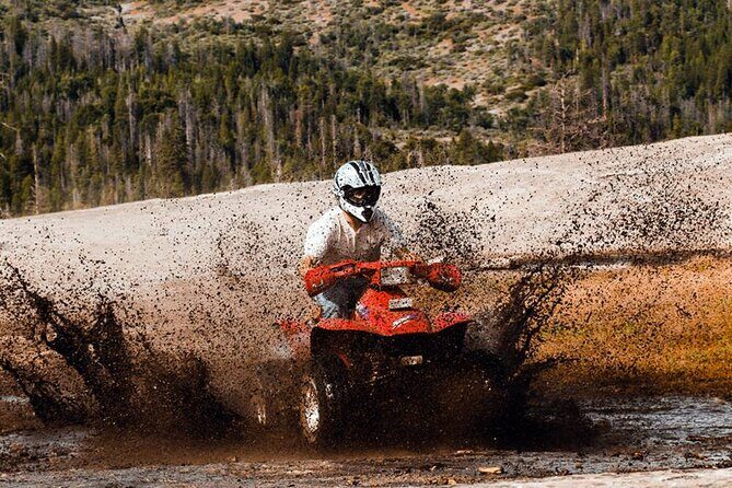 Quad Safari Experience in Alanya (Adventure Tour) w/ Free Hotel Transfer - Who this tour fits best (and who might want a different plan)