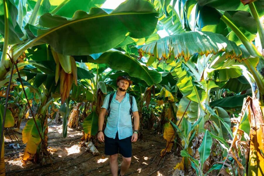 Sapadere Tour with Dimçay Lunch, Cave, Tropical Fruit Garden - Who This Tour Fits Best (and Who Should Skip)
