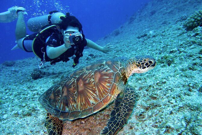 Scuba Diving Experience in Alanya With Lunch and 2 Dives - Lunch, Sun Time, and Staying Comfortable Between Sessions