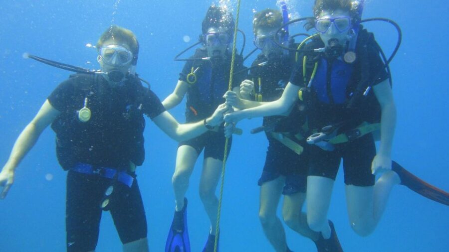 Scuba Diving Tour with Transfer From Alanya and city of Side - Getting from your hotel to the boat: what to expect in real life