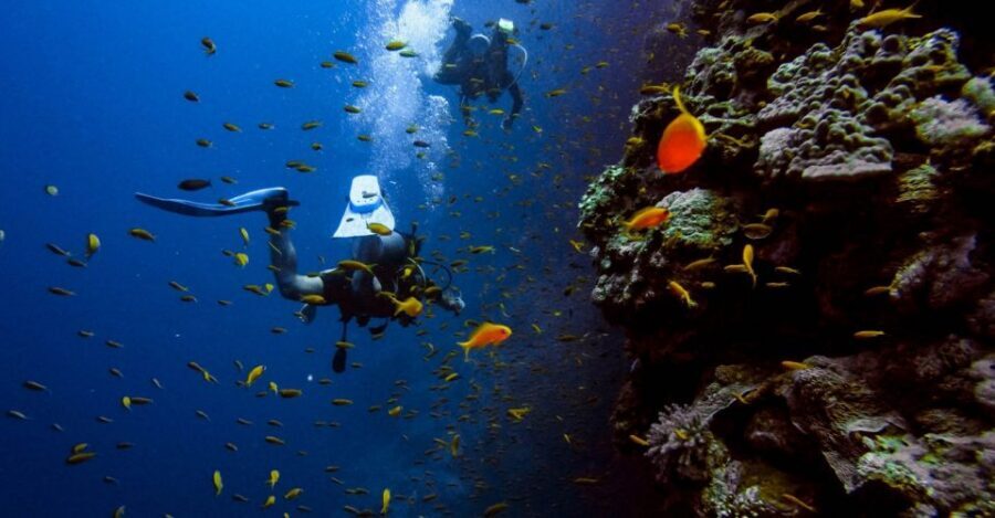 Scuba Diving Tour with Transfer From Alanya and city of Side - Beginner onboarding: what happens before you go down