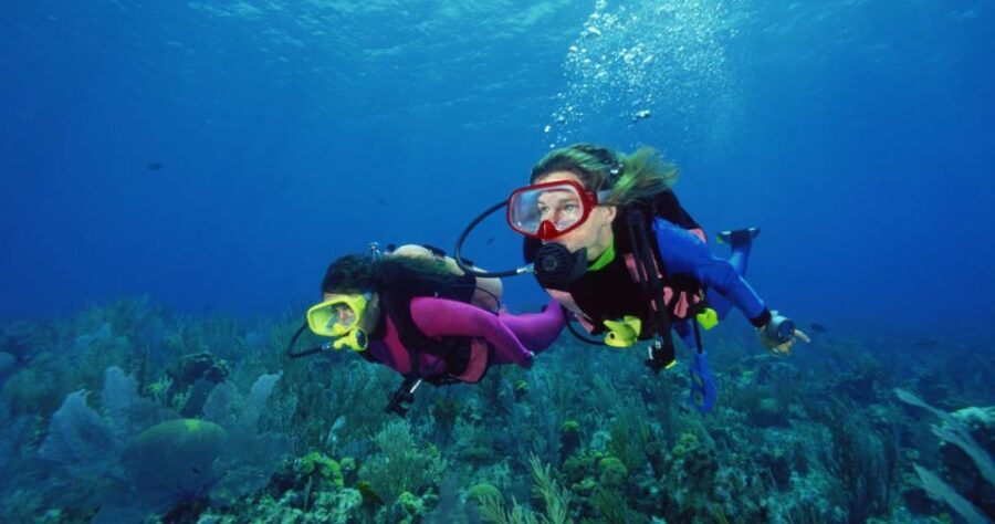 Scuba Diving Tour with Transfer From Alanya and city of Side - What you’ll see on the underwater sessions