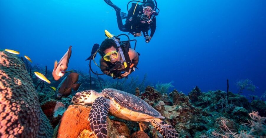 Scuba Diving Tour with Transfer From Alanya and city of Side - The crew setup: small safety team energy