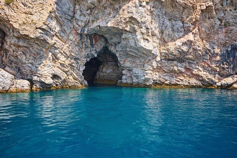 Side: Dolphins Island Cruise with Swimming Stops and Lunch - Cruising for dolphins and turtles: how you’ll spot them (and what to do)