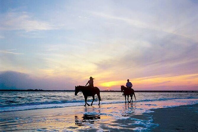 Side Horse Riding On Beach And Through The Forests For 2 Hours - Safety, horse welfare, and what you should watch for