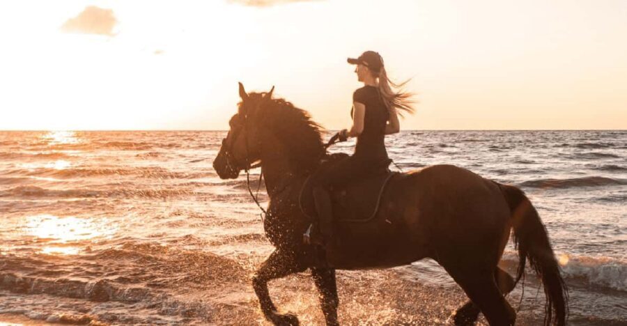 Side: Horseback Riding Tour in Nature - Key Highlights You’ll Feel Fast