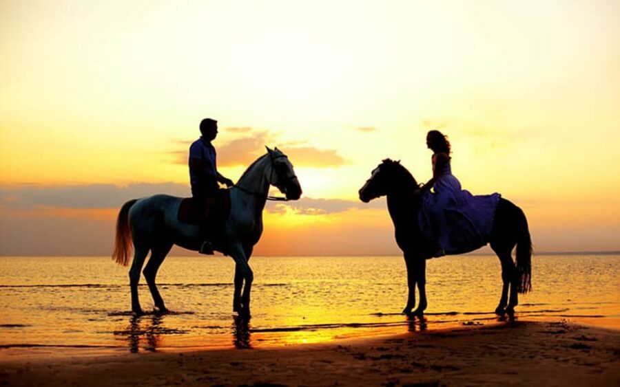 Side: Horseback Riding Tour in Nature - Side Photo Stop: A Quick Breather Before You Saddle Up