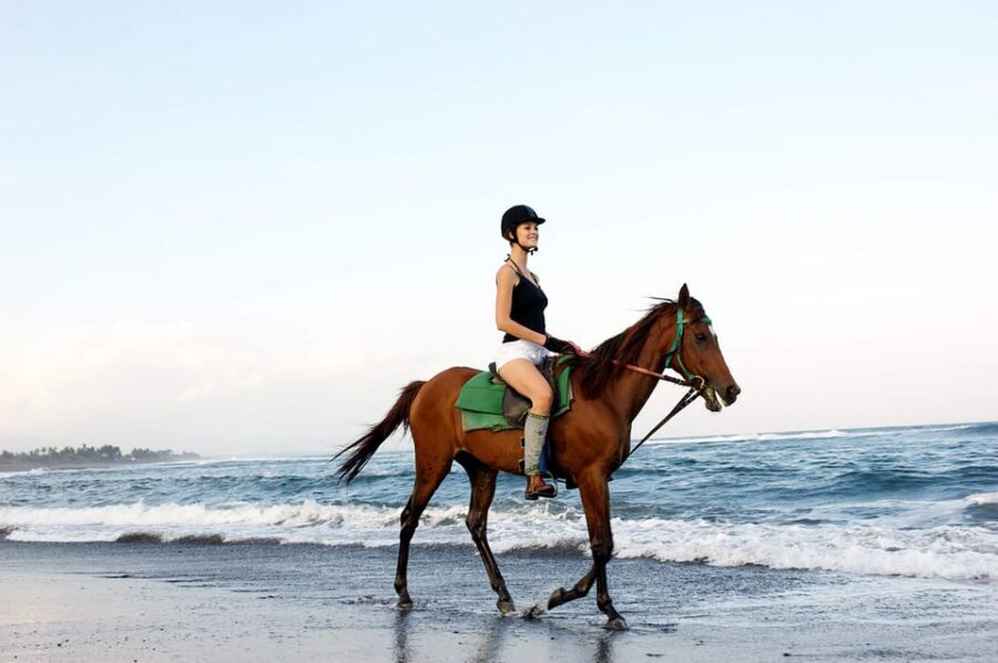 Side: Horseback Riding Tour in Nature - First-Time Rider Coaching, Helmets, and Real Horse Care