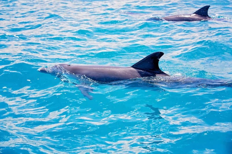 Side: Pirate Boat Trip with Lunch & Swimming Stops - Lunch on Board: Food Included, Drinks Extra