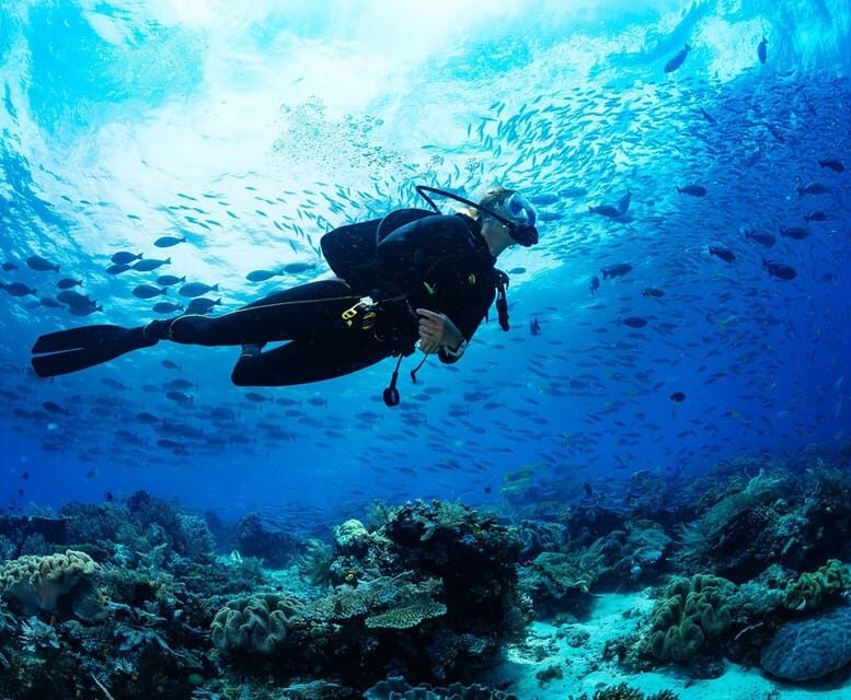 Side: Scuba Diving Tour Journey To The Depths Of The Blue - Lunch on the Boat: Real Break Time With Real Views