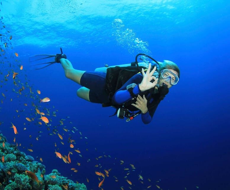 Side: Scuba Diving Tour Journey To The Depths Of The Blue - Price and Value: Is $53 a Good Deal for This Setup?