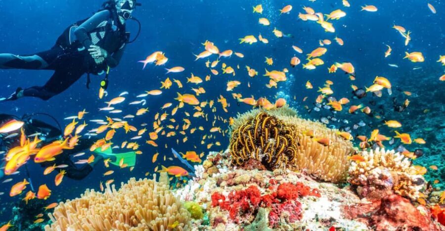 Side: Scuba Diving Tour Journey To The Depths Of The Blue - Two Underwater Sessions at 5–6 Meters: What You’ll Actually Do