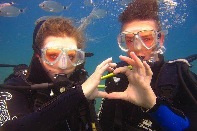 Side: Scuba Diving Under Water Museum - The 8:30 am rhythm: pickup, forms, and a boat with real working space