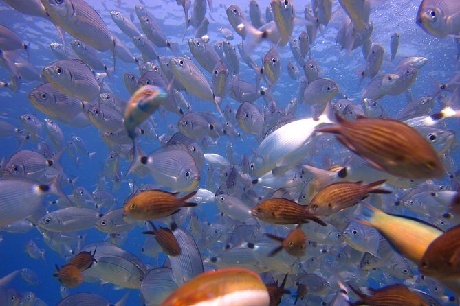 Side: Scuba Diving Under Water Museum - A quick reality check from different days on the same tour