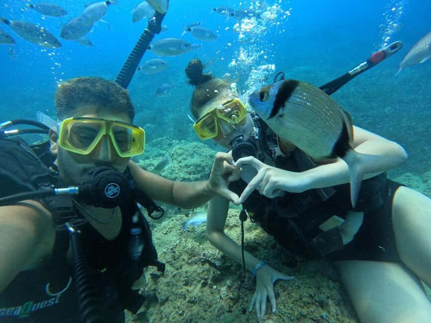 Side: Scuba Diving & Under Water Museum with Hotel Transfer - The Underwater Museum: What You’ll See and Why It’s Worth the Trip