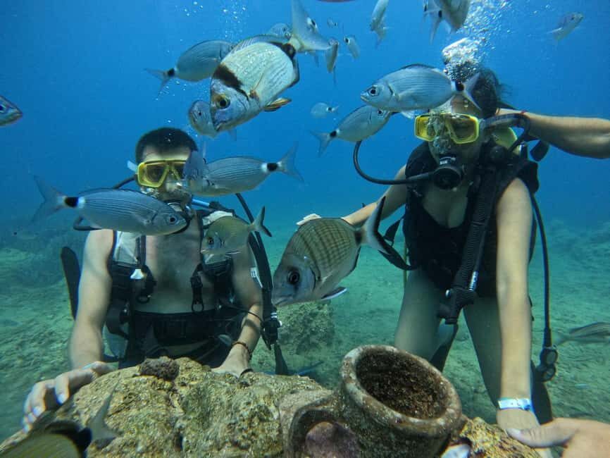 Side: Scuba Diving & Under Water Museum with Hotel Transfer - Who Should Book This Side Scuba Experience (And Who Should Skip It)