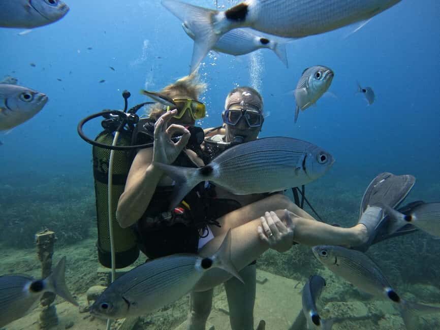Side: Scuba Diving & Under Water Museum with Hotel Transfer - Price and Value: Why This Costs $40 and What You Get Back