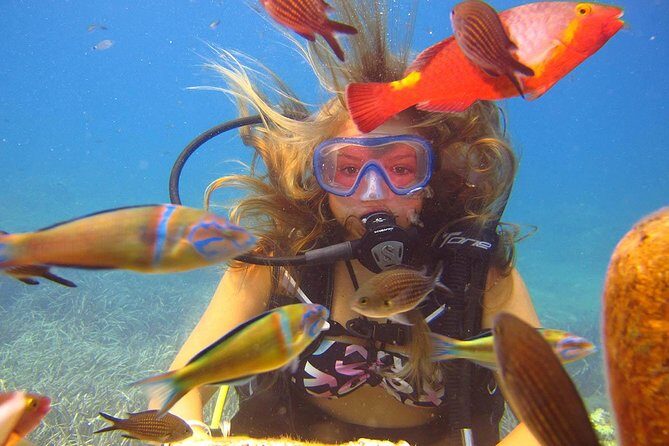 Side: Scuba Diving Under Water Museum - Two reef sessions: how the crew support works in practice