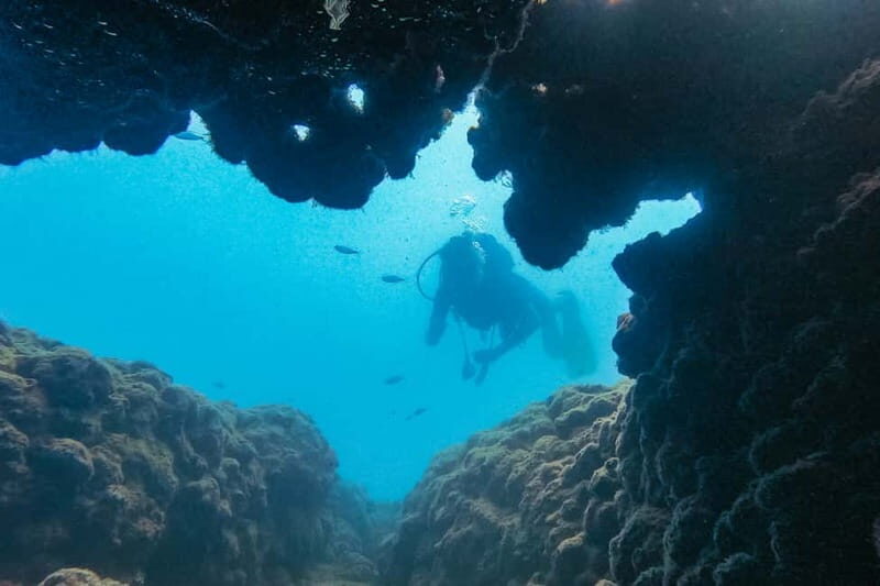 Side: Scuba Diving, Underwater Museum, 2 Dives incl. Lunch - Key takeaways before you go