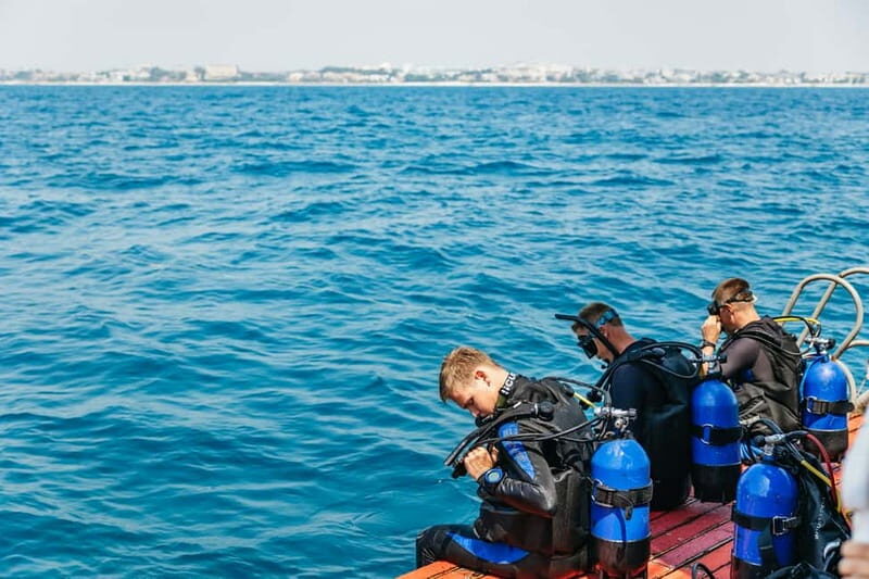 Side: Scuba Diving, Underwater Museum, 2 Dives incl. Lunch - Underwater museum time: what you should expect to see