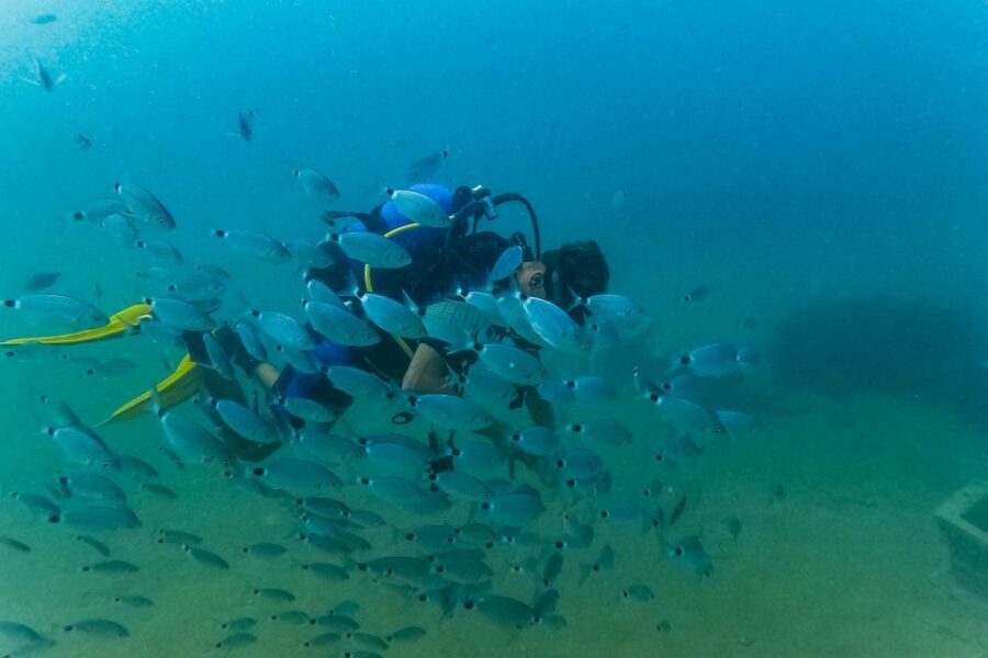 Side: Scuba Diving, Underwater Museum, 2 Dives incl. Lunch - The crew and instruction quality: why people leave happy